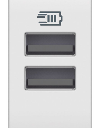 N4191AA - Caricatore USB con 2 prese USB