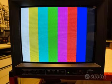 Monitor JVC-TM-H150CG con Scheda RGB Videogiochi