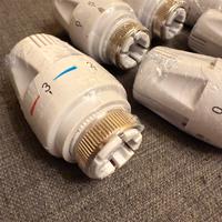 Valvola Termostatica controllo  temperatura