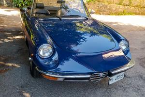 Duetto spider 1,3 Junior