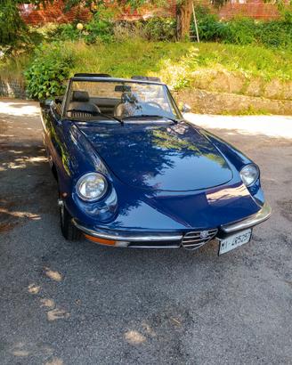 Duetto spider 1,3 Junior