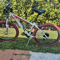 bicicletta da ragazzo