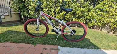 bicicletta da ragazzo