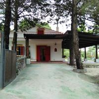 Nei pressi di Capo Palinuro, Scario, Sapri