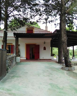 Nei pressi di Capo Palinuro, Scario, Sapri