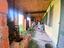 Immagine 29