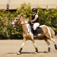 Cavallo per principianti e passeggiate