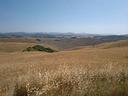 terreno-agricolo-60-ha-volterra-pisa