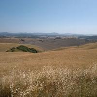 Terreno agricolo 60 ha Volterra Pisa