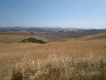 Terreno agricolo 60 ha Volterra Pisa