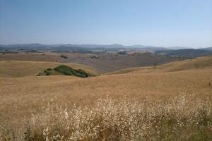 Terreno agricolo 60 ha Volterra Pisa