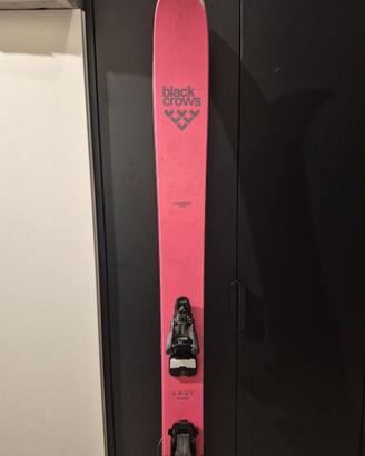 Black Crows Corvus Freebird