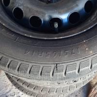 Gomme invernali panda