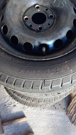 Gomme invernali panda