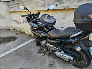 moto suzuki