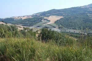 Terreno Agricolo - Guardialfiera