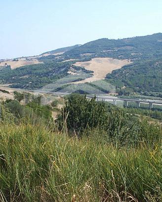 Terreno Agricolo - Guardialfiera