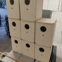 Nidi x inseparabili calopsite kakariki parrocchett