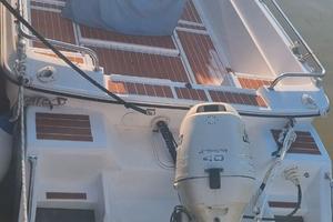 BARCA  OPEN CABIN660 TIPO SAVER