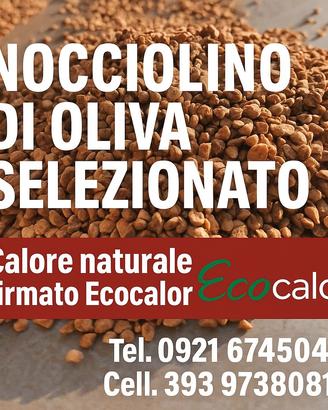 Noccioliino selezionato Ecocalor
