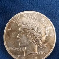 moneta d'argento dollaro della pace argento 