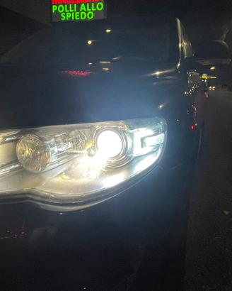 Philips lampada Xenon DS1