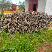 legna d'ulivo da ardere 