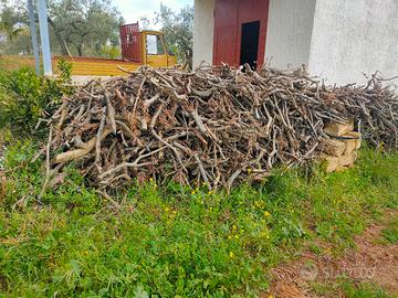 legna d'ulivo da ardere 