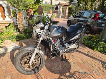 Hornet 900