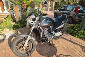 Hornet 900