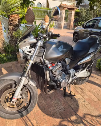 Hornet 900