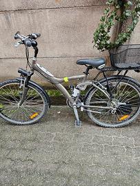 bicicletta alluminio