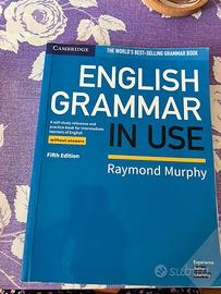 English grammar in use - without answers R.Murphy
