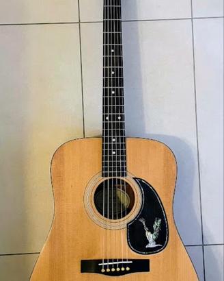 Fender dg17