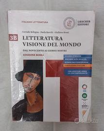 LETTERATURA VISIONE DEL MONDO  VOL.3B ED. ROSSA 