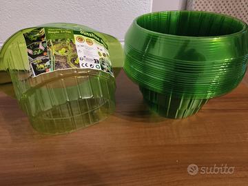 Collari per  lumache