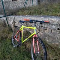 bicicletta da mtb con portapacchi 