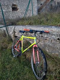 bicicletta da mtb con portapacchi 