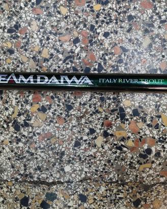 Canna da pesca Daiwa 10 metri