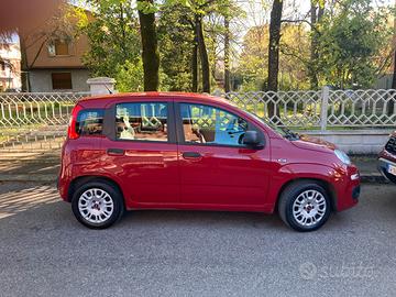 Fiat Panda 1.2 Young