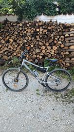 Bici da trekking Riverside 900 telaio taglia L