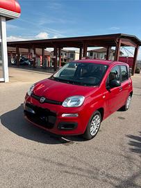 FIAT PANDA IBRIDA