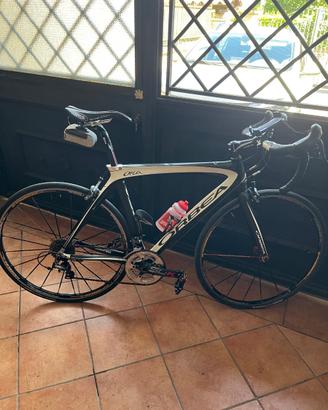 Bicicletta da strada