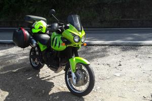 Triumph Tiger 955 i 