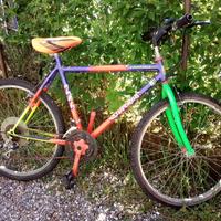 Bicicletta