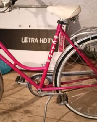 bicicletta donna 