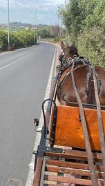 Finimento da carrozza