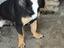 Immagine 2