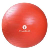 Fitball cm 55