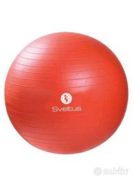 Fitball cm 55